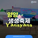 남대천제방길 | 2025 양양생생축제 실시간 주차 먹거리 부스
