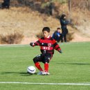 석남서초등학교 이미지