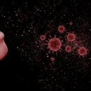 여천체육공원길 이미지