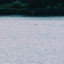 당근바다 이미지