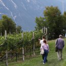 박미향 농장 이미지