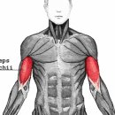 메꿀다이어트GYM