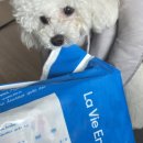 매너독 라이프 이미지