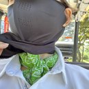 오너스골프클럽 | 무더운 여름, 오후 3시 라운딩이 정답! 오너스 골프클럽 코스 난이도·야경 리뷰