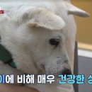 복도농장 이미지