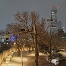 한양도성(漢陽都城)의 좌청룡(左靑龍)에 해당하는 낙산(駱山) 야간 트레킹..
