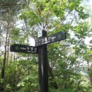 달천축산 이미지