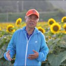 파리바게뜨진안점