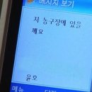 엘도커피 이미지