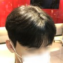 엠남성컷 네이버블로그