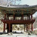 순천-46호 티스토리