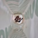 던킨안양호계점 이미지