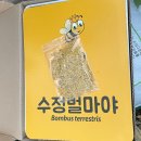 수정벌마야 이미지