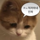 삼파통닭 | 3월 이모저모