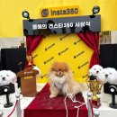 댕댕타임 | 2023 가평 자라섬 댕댕런 후기, 강형욱의 포토타임!