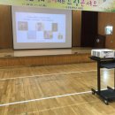 서정초등학교 이미지