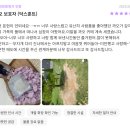 씨엘로펫 | 수원 고양이 장례식장은 불법입니다. 안전하게 장례할 수 있는 대안은?