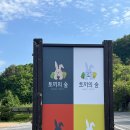백천스포츠파크 | 평창여행 아이와 실내 실외동물원 토끼의숲 방문후기