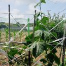 모악농장 이미지