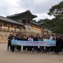 문화유산으로 배우는 우리 역사 이미지