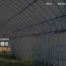 마스플랜 이미지