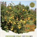 (주)옴니허브 네이버블로그