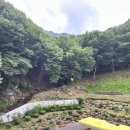 [구례하동] 지리산 해발 400m에 있는 준성리조트 , 스탠다드, 바베큐장 여름장마철 마운틴뷰