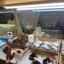 수원역 ak 푸드코트 디저트 에그타르트 breaders, 원더풀 치타 초코딸기 크루아상 후기