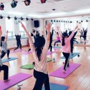 죽전(竹田) 대나무꽃 만발 스토리 이미지