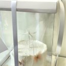 용봉마을회관 | 광주 운암동 나나스케이크 브샤 케이크 추천 기념일 케이크