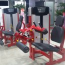 YS GYM 이미지
