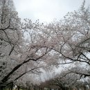 뚜벅뚜벅 세계여행 이미지