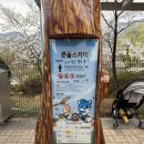 벚꽃이 만개한 가야랜드 콘돌스카이 후기