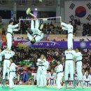 나라태권도체육관 이미지