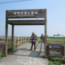 태평염생식물원 티스토리