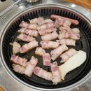 쌍둥이축산2 이미지