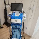 센스(Sense) 이미지