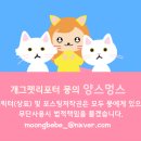 스튜디오레이지캣