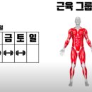 (주)효**운 이미지
