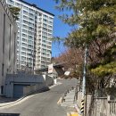 신정원약국 - 종로구 통일로 262 | 신정원약국