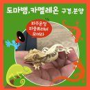 이움랩