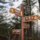 미친캠퍼스