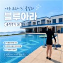 화양로 | 여수 프라이빗 풀빌라 블루아라 독채 오션뷰 인피니티풀 후기