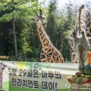 에버마루 이미지