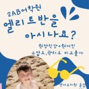 2AB스토리어학원 &#34;초등엘리트반&#34; 아시나요? 이미지