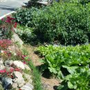 보릿고개마을 이미지