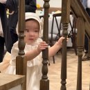 노란병아리 | [대전 돌잔치 장소 추천] 빌라드파티앤, 노랑 컬러의 커스텀 돌잔치 후기