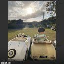 키즈풀숲 | 울산 중구 성안동 키즈카페 대관 키즈풀숲 키즈룸