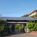 플러스064 | 제주 삼양 닭오리 백숙 샤브샤브 맛집 원당골 토종닭 한마리 후기