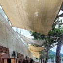 마소마레 이미지